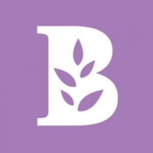 Bachman's IT Support
